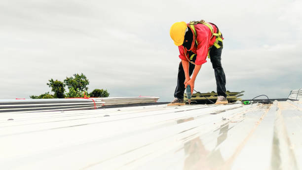 Best Roof Leak Repair  in Warren Park, IN